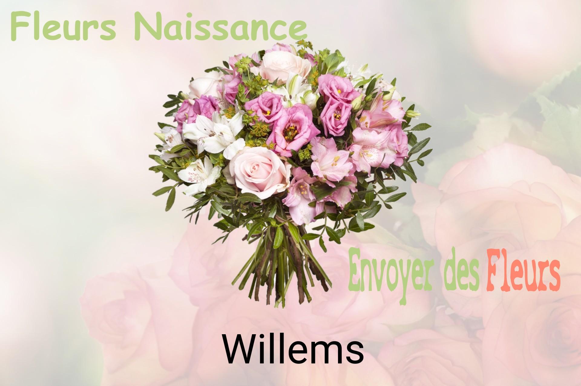 Bouquet de fleurs de naissance livré à Willems